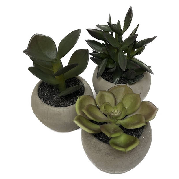 DAY Kunstplanten Set - Kleurijke plantjes in pot - Set van 3 stuks