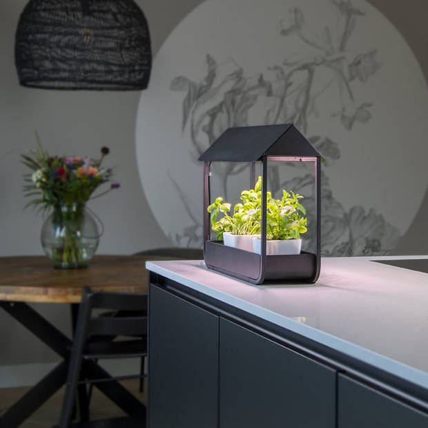 Planten groei lamp kweekkas zwart - Mini kweekkas - led groeilamp - auto-timer - modern