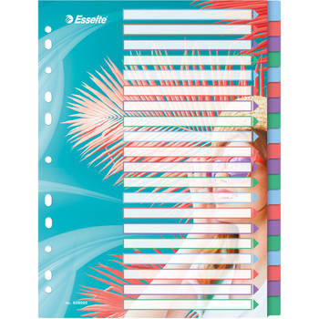 Esselte Colour'Breeze tabbladen, ft A4, 11-gaatsperforatie, PP, set van 20 tabs 6 stuks