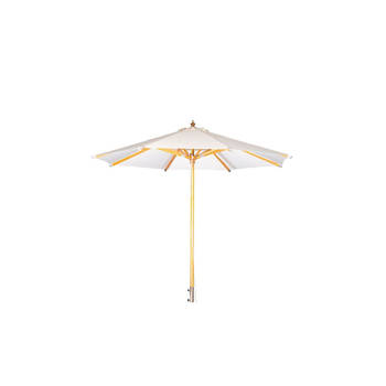 Naxos parasol wit, natuur.