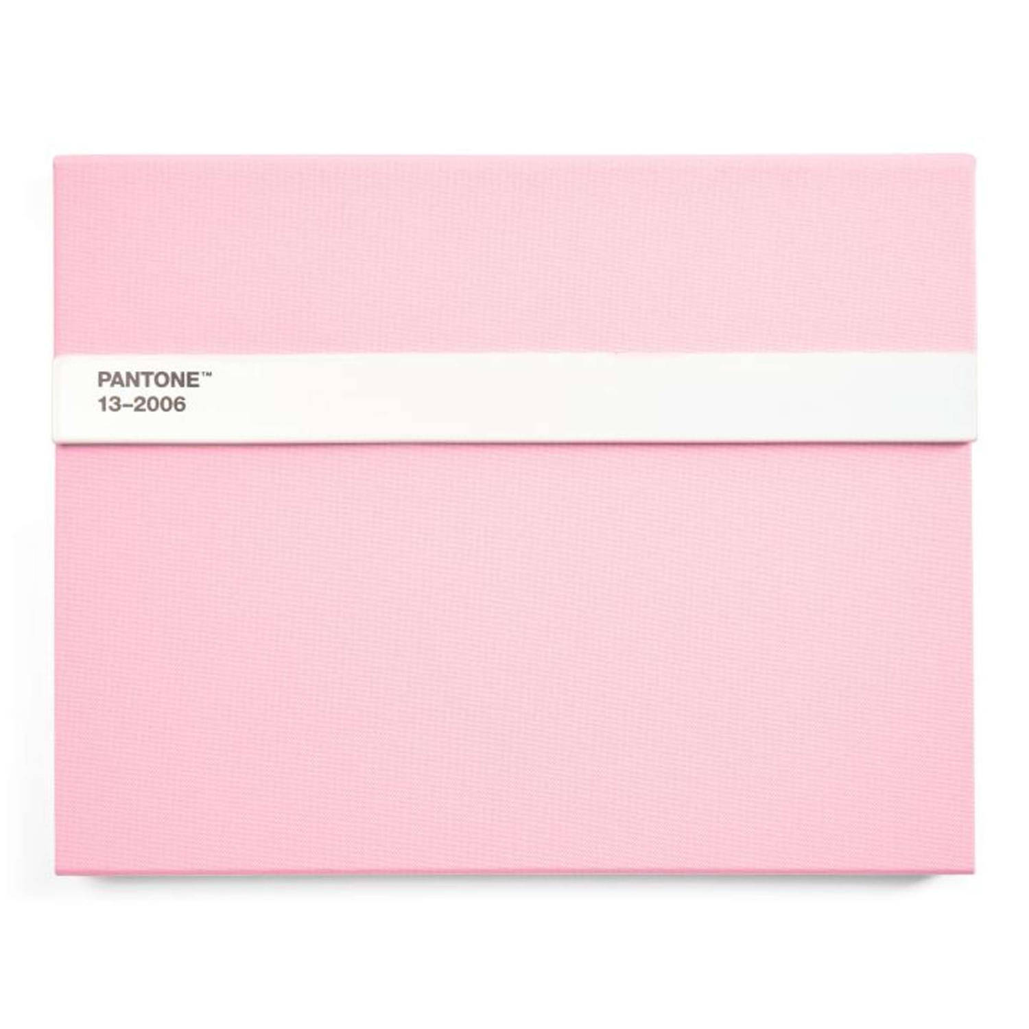 Notitieboek Gelinieerd met Potlood Light Pink 9284 C
