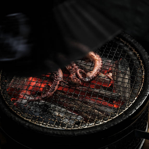 Yakiniku - Shichirin Tafelgrill Rond Accessoire Vervangend Rooster - Roestvast Staal - Zilver