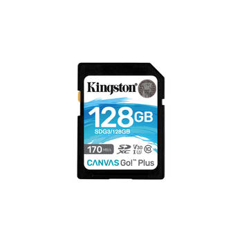 Kingston Kingston Canvas Go! Plus Flash Memory 128 Gb 170mbs Sd Uhsi