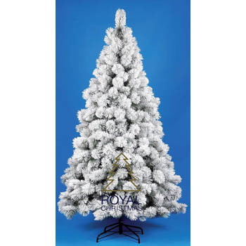 Blokker Royal Christmas Kunstkerstboom Chicago 240cm met sneeuw aanbieding