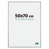 Fotolijst 50x70 Platina Aluminium Kent