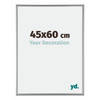 Fotolijst 45x60 Platina Aluminium Kent