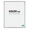 Fotolijst 40x50cm Platina Aluminium Kent