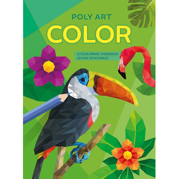 Deltas Poly Art kleurboek 28 x 20,5 cm 48 pagina's