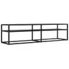 The Living Store TV-kast - 160 x 40 x 40.5 cm - zwart glas en staal