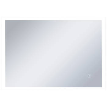 The Living Store LED Spiegel - Badkamer - 100 x 60 cm - IP44 gekeurd