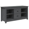 The Living Store TV-meubel Grenenhout - 103x36.5x52 cm - Grijs