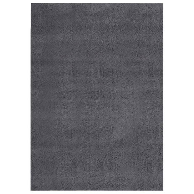 The Living Store Tapijt - Antraciet - 160 x 230 cm - Polyester - Anti-slip - Wasbaar