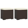 The Living Store Hocker Bruin PE Rattan - 40x30x40 cm - Met kussens