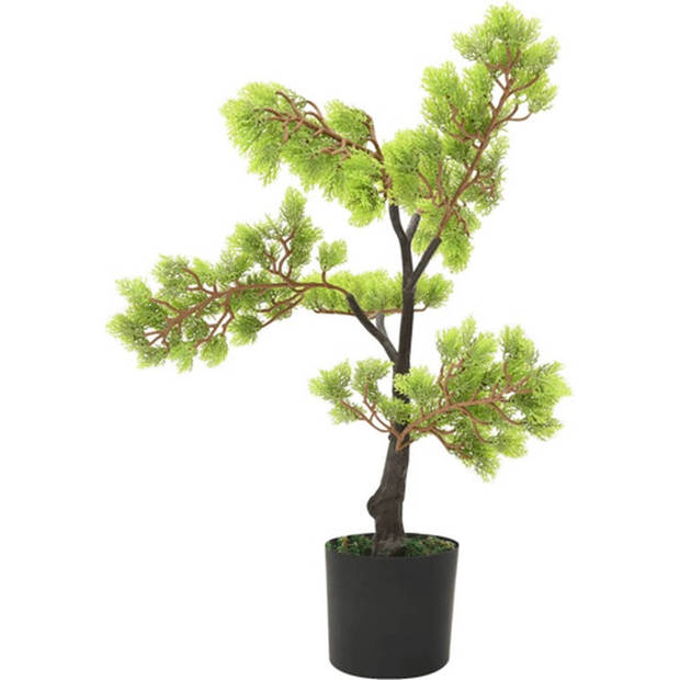 The Living Store Cipres Bonsai Kunstplant - 60cm - Gedetailleerde bladeren - Realistische uitstraling