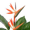 The Living Store Kunst Strelitzia - 100 cm - Groen - Rood