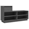 The Living Store Schoenenkast - - Hout - 110x34x61 cm - Grijs