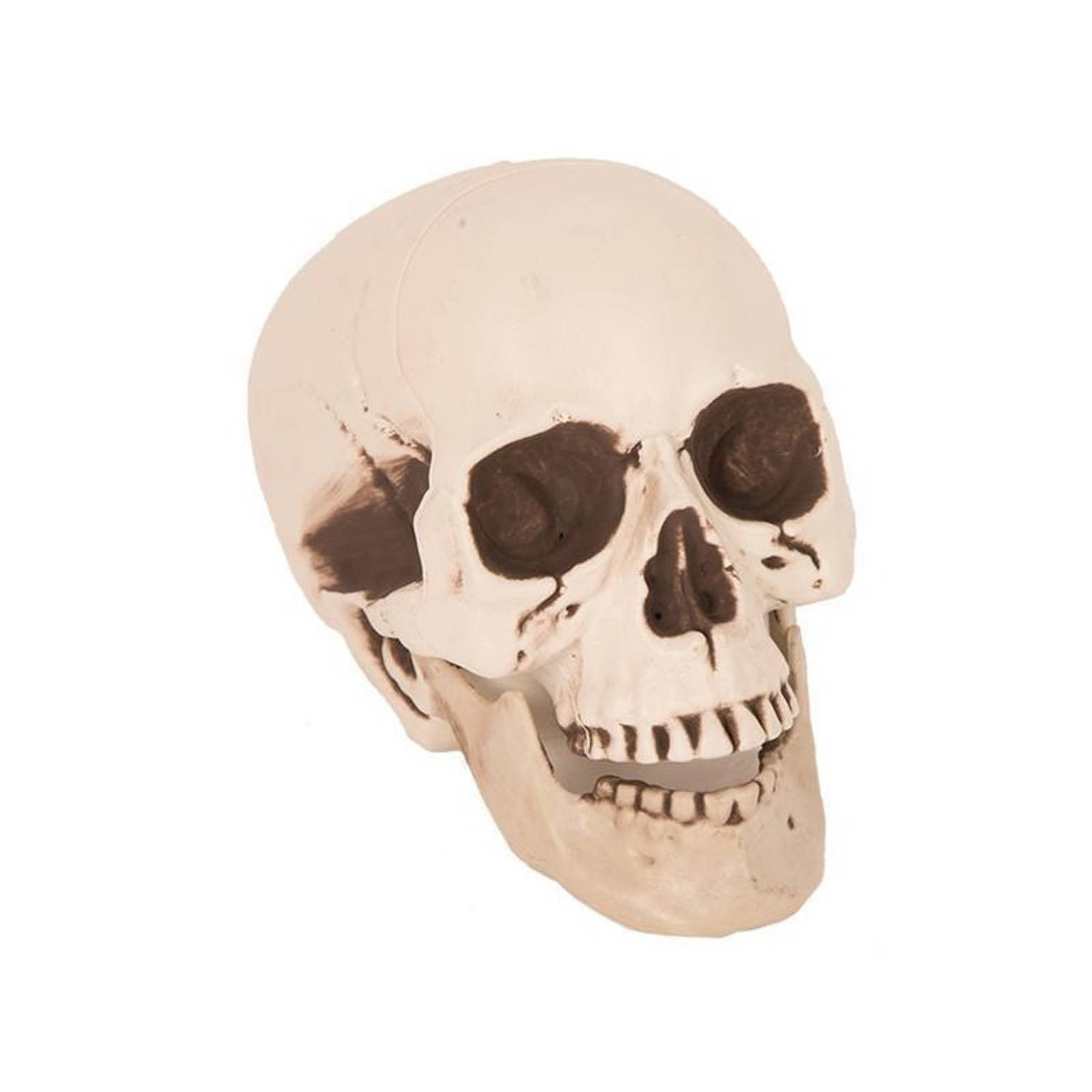 Halloween - Horror decoratie schedel/doodshoofd 21 cm - Halloween kerkhof decoratie en versiering