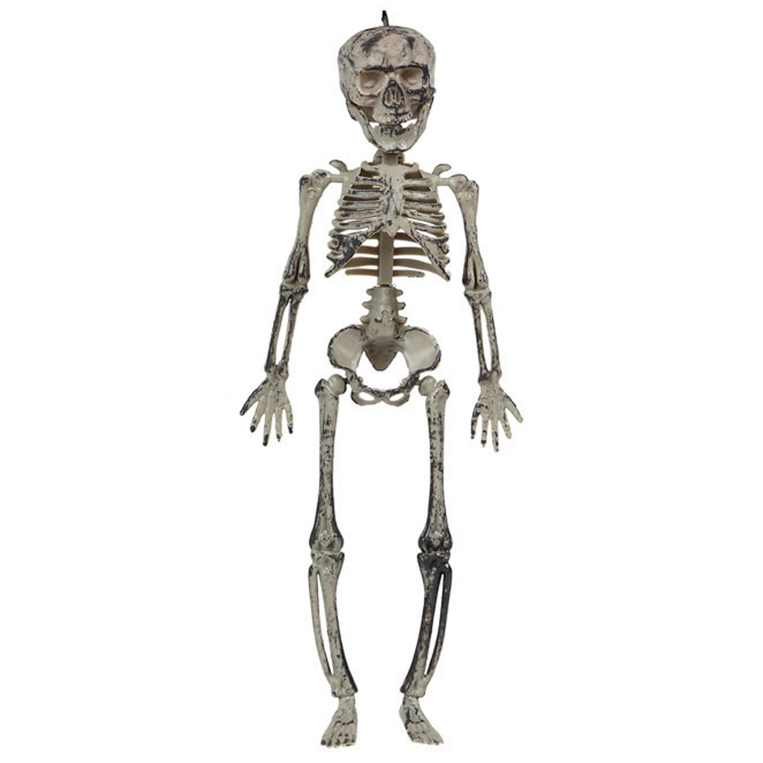 Halloween-horror thema hang decoraties 1x stuks skeletten in vergane staat 30 cm Feestdecoratievoorw
