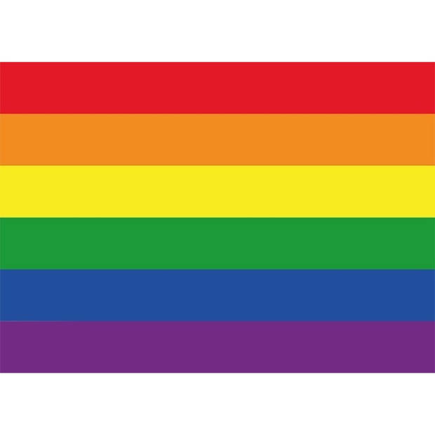 10 Stuks regenboog Gay vlag stickers 7.5 x 10 cm - Feeststickers
