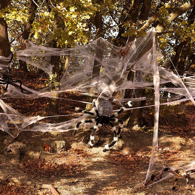 Faram Decoratie spinnenweb/spinrag met spinnen - 50 gram - wit - Halloween/horror versiering - Feestdecoratievoorwerp