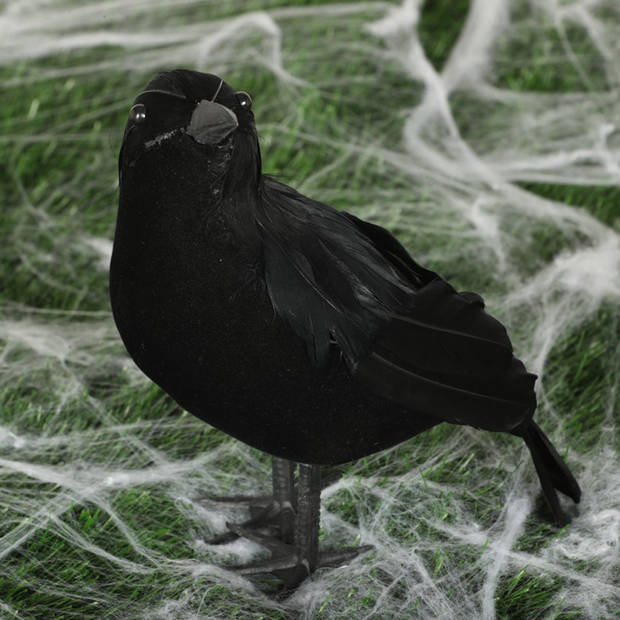 Fiestas nep kraai/raaf 25 cm - zwart - Halloween horror/griezel thema decoratie dieren - Feestdecoratievoorwerp