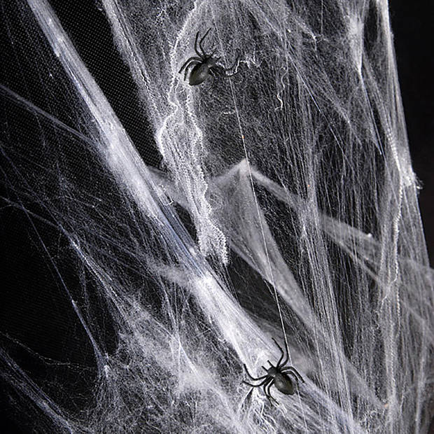 Amscan Decoratie spinnenweb/spinrag - 60 gram - wit - Halloween/horror versiering - Feestdecoratievoorwerp