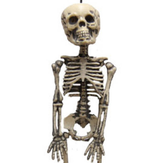 Horror/Halloween skelet/geraamte - hangend - 30 cm - hangdecoratie - Halloween poppen