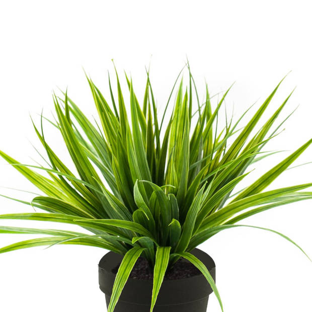 Gras kunstplant in kunststof pot 33 cm - Kunstplanten