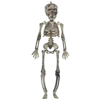 Halloween/horror thema hang decoraties - 1x stuks - skeletten - in vergane staat - 30 cm - Feestdecoratievoorwerp