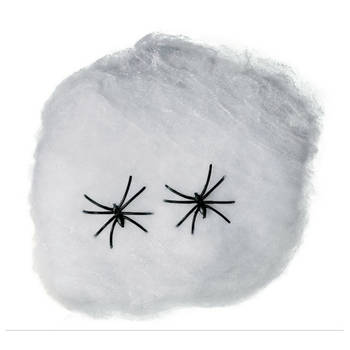 Fiestas Decoratie spinnenweb/spinrag met spinnen - 40 gram - wit - Halloween/horror versiering - Feestdecoratievoorwerp