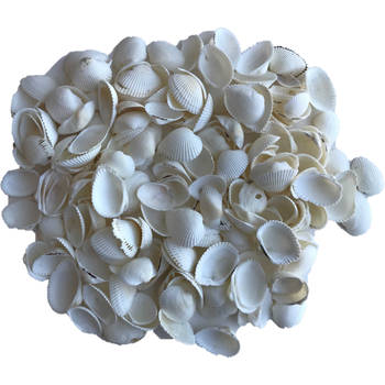 3x zakjes decoratie hobby schelpen parelmoer/wit 250 gram - Hobbydecoratieobject