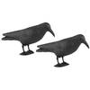 Set van 2x stuks zwarte horror decoratie raven/kraaien 38 cm - Feestdecoratievoorwerp