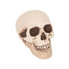 Horror decoratie schedel 21 cm - Feestdecoratievoorwerp