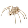 Horror decoratie skelet tarantula spin 35 x 20 cm - Feestdecoratievoorwerp