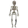 Halloween/horror thema hang decoraties - 1x stuks - skeletten - in vergane staat - 30 cm - Feestdecoratievoorwerp