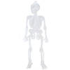 Halloween/horror thema hang decoraties - 6x stuks - skeletten - glow in the dark - 16 cm - Feestdecoratievoorwerp