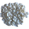 Decoratie hobby schelpen parelmoer/wit 250 gram - Hobbydecoratieobject
