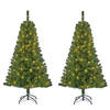 Set van 2x stuks groene led verlichte kerstbomen/kunstbomen 120 cm - Kunstkerstboom