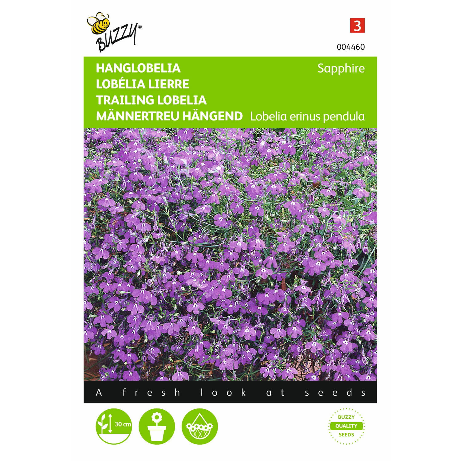 2 stuks Lobelia pendula Saphir