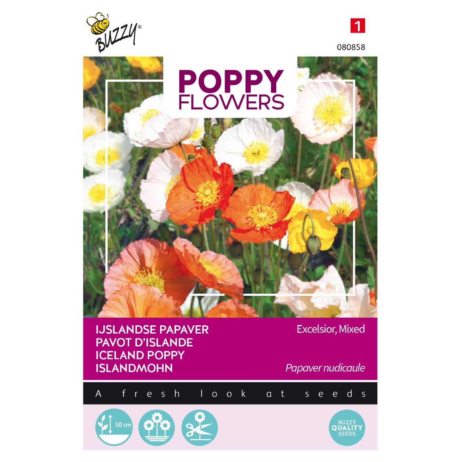 3 stuks Poppies of the world papaver IJslandse