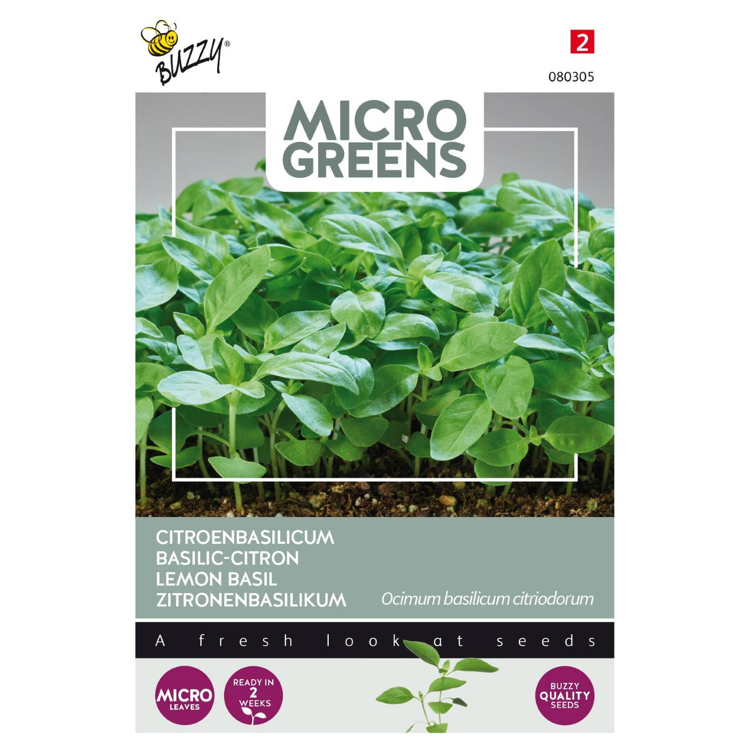5 stuks Microgreens Citroenbasilicum