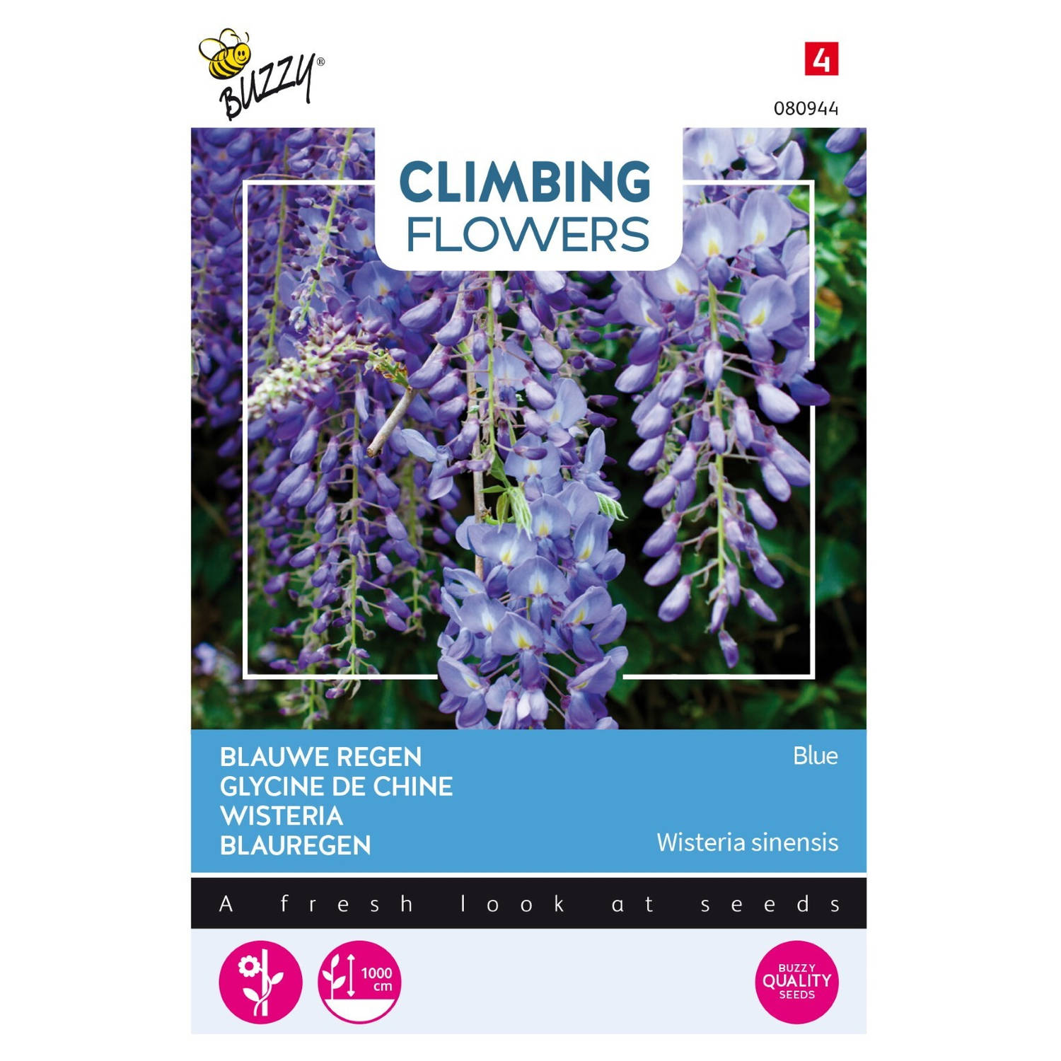 3 stuks Flowering climbers wisteria blauw