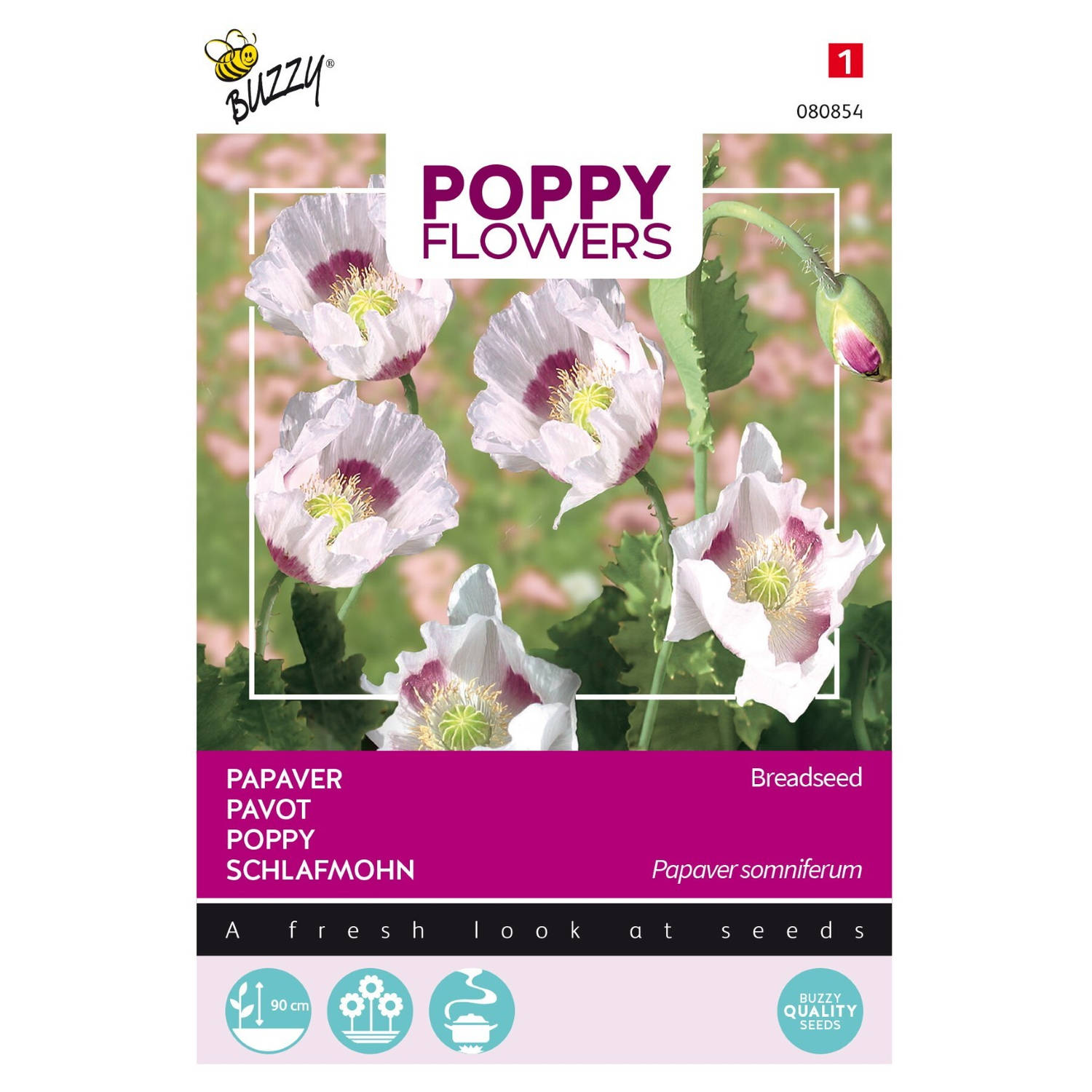 3 stuks Poppies of the world papaver blauwmaanzaad