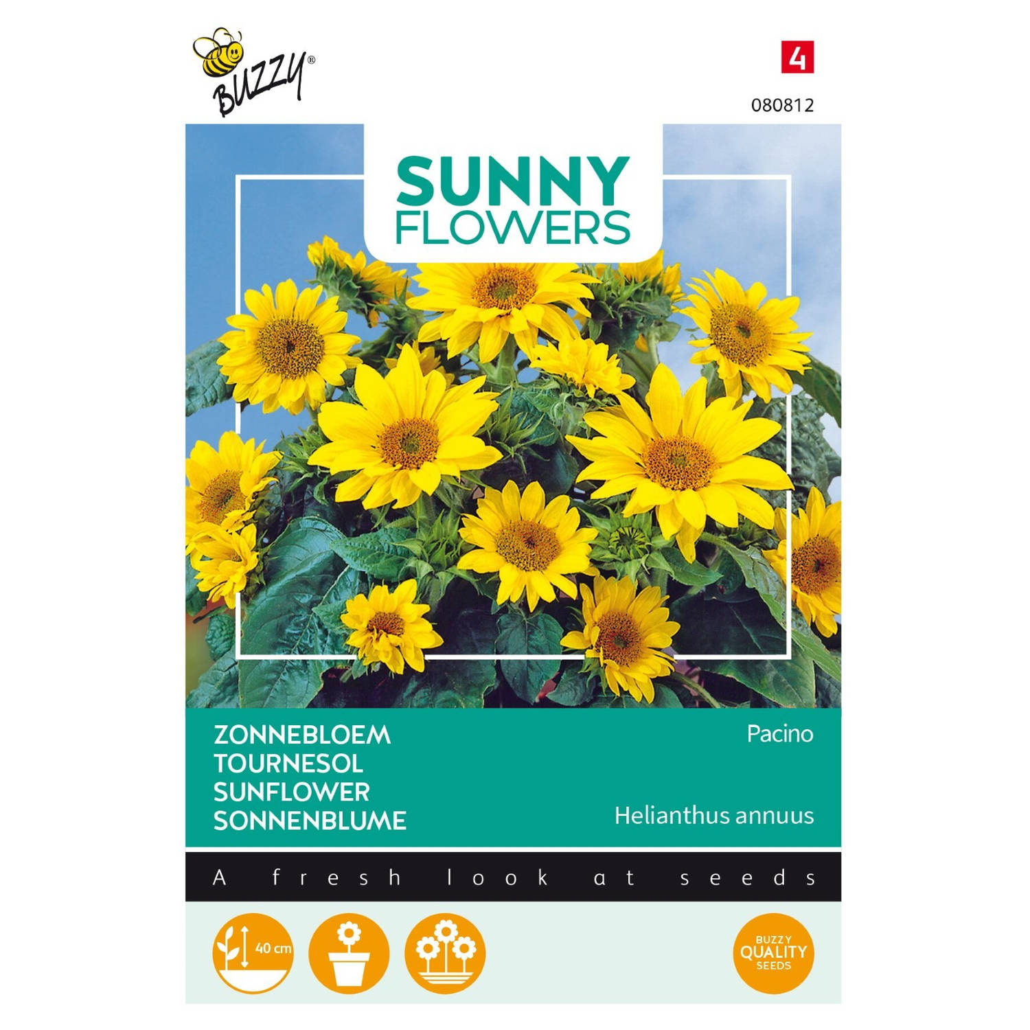 Buzzy - 3 stuks Sunny flowers pacino gold