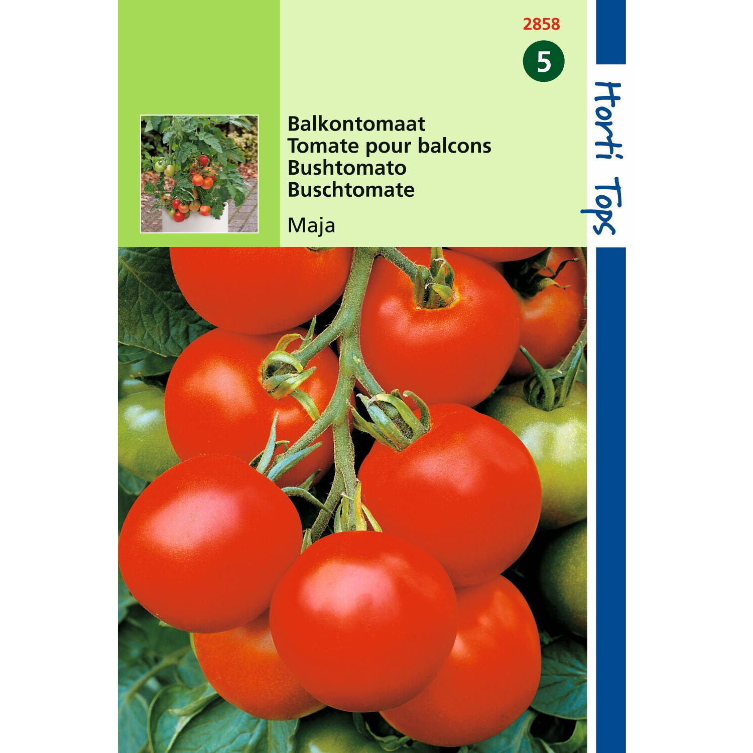 Hortitops - 2 stuks Tomaten Maja Balkontomaat Amateur Variety