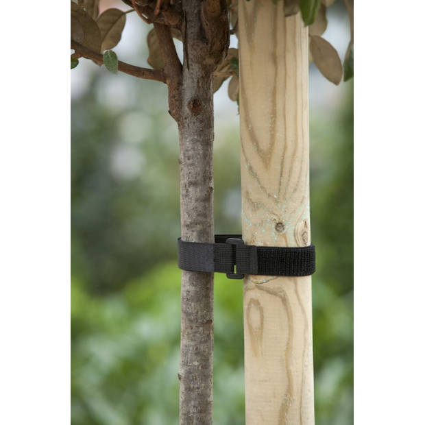 Nature - Klittenboomband met gesp 40x2,5cm set a 2 stuks