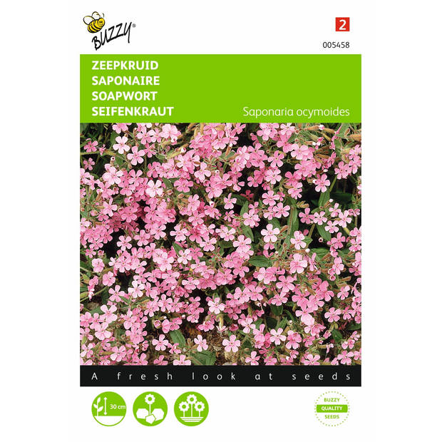 2 stuks Saponaria ocymoides Zeepkruid Rose