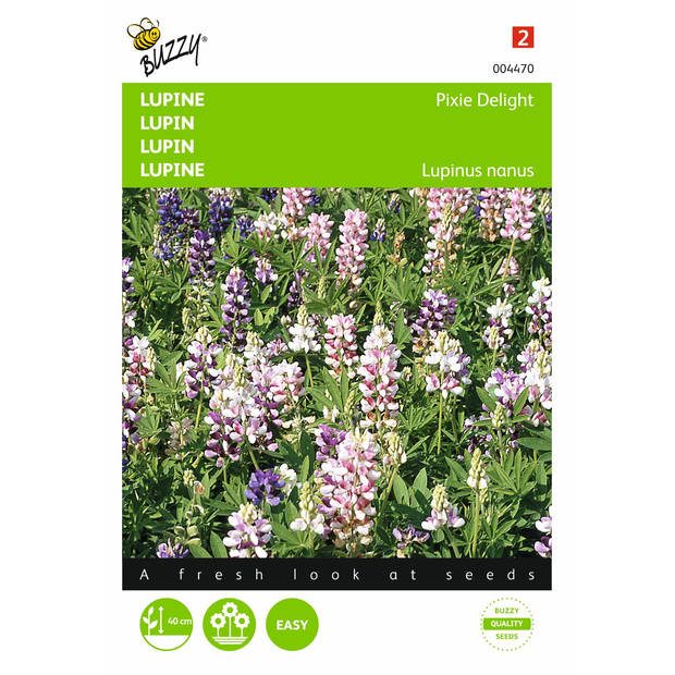 2 stuks Lupinus Nanus Pixie Delight Gemengd