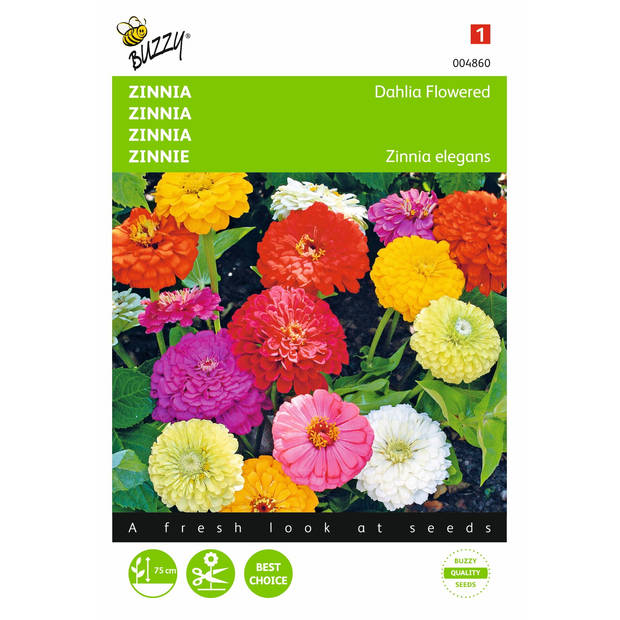 2 stuks Zinnia elegans Dubbele Dahliabl. Gemengd