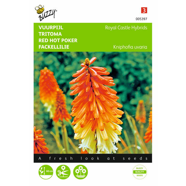 2 stuks Kniphofia tritoma Royal Castle Hybr.